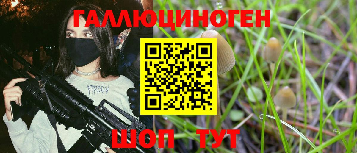 Артём  Псилоцибиновые грибы прущие грибы  закладка  Вход с VPN 