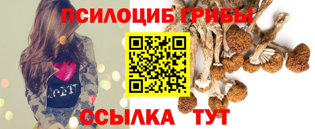 Галлюциногенные грибы Psilocybe Артём